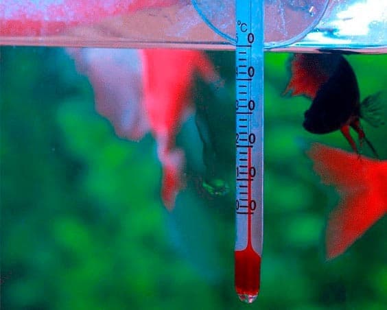 температура воды температура воды