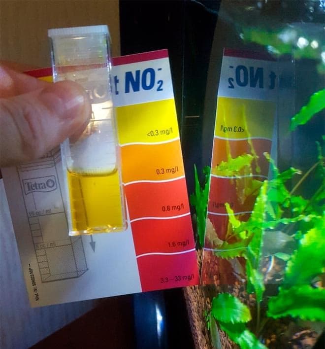 тесты для аквариума тесты для аквариума