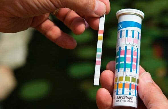 тесты тесты