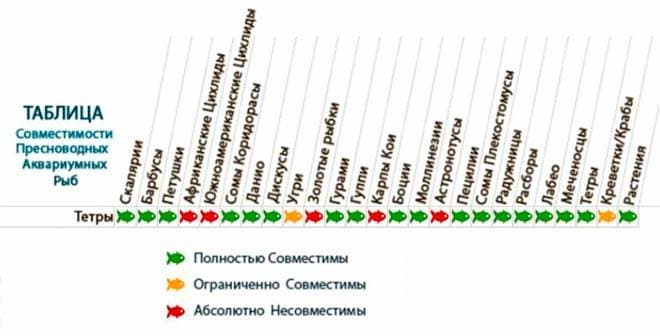 тетра таблица совместимости тетра таблица совместимости