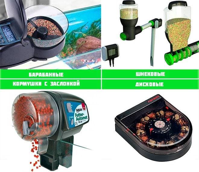 Виды кормушек для рыб Виды кормушек для рыб
