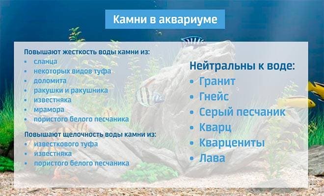 Подходящие камни для аквариума Подходящие камни для аквариума