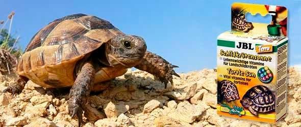 витамины витамины