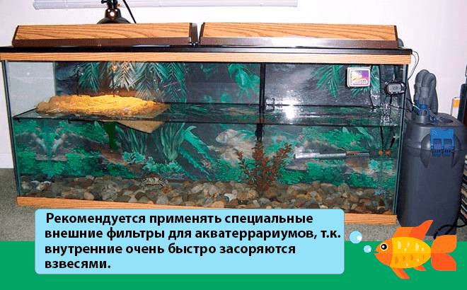 выбор фильтра для акватеррариума выбор фильтра для акватеррариума