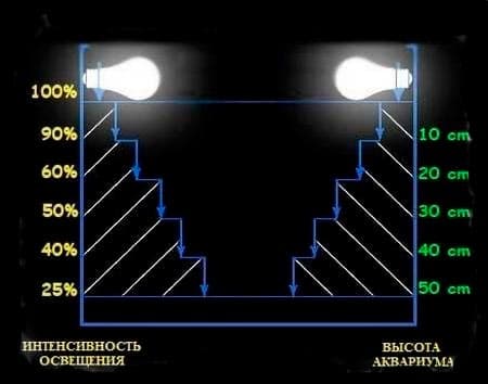высота высота