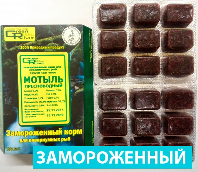 замороженный замороженный