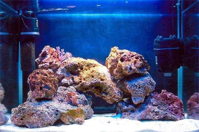 Морские камни в аквариуме Морские камни в аквариуме