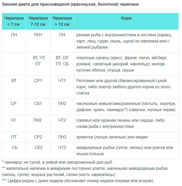 зимняя диета для пресноводной